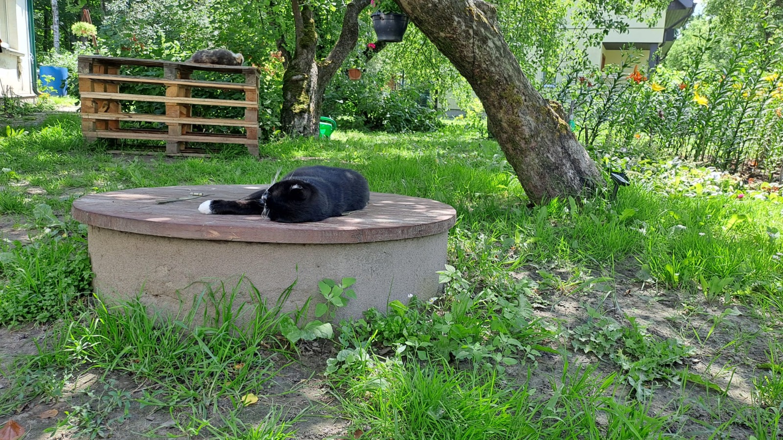 WhatsApp attēls 2025-02-14 plkst. 12.13.19_5ccaa539